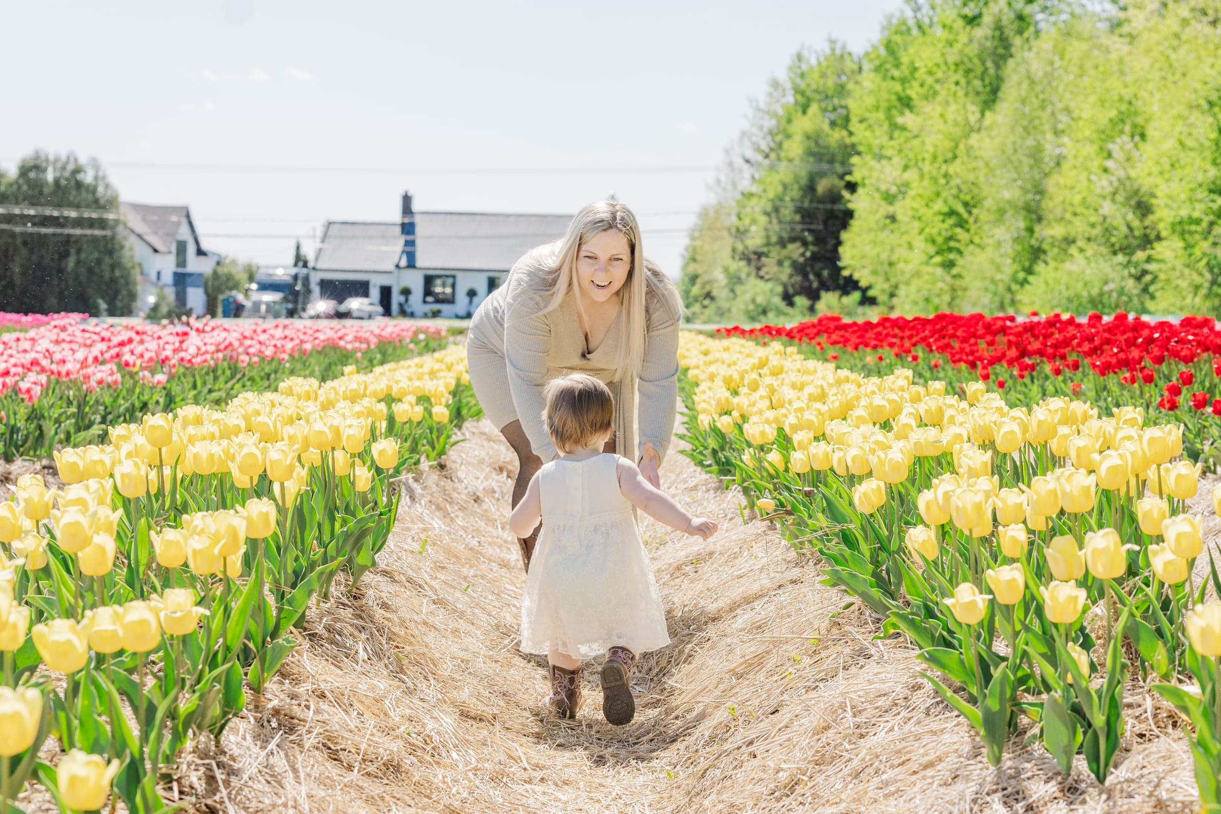 Montreal family photographer Kar-Mei Quach — candid family session